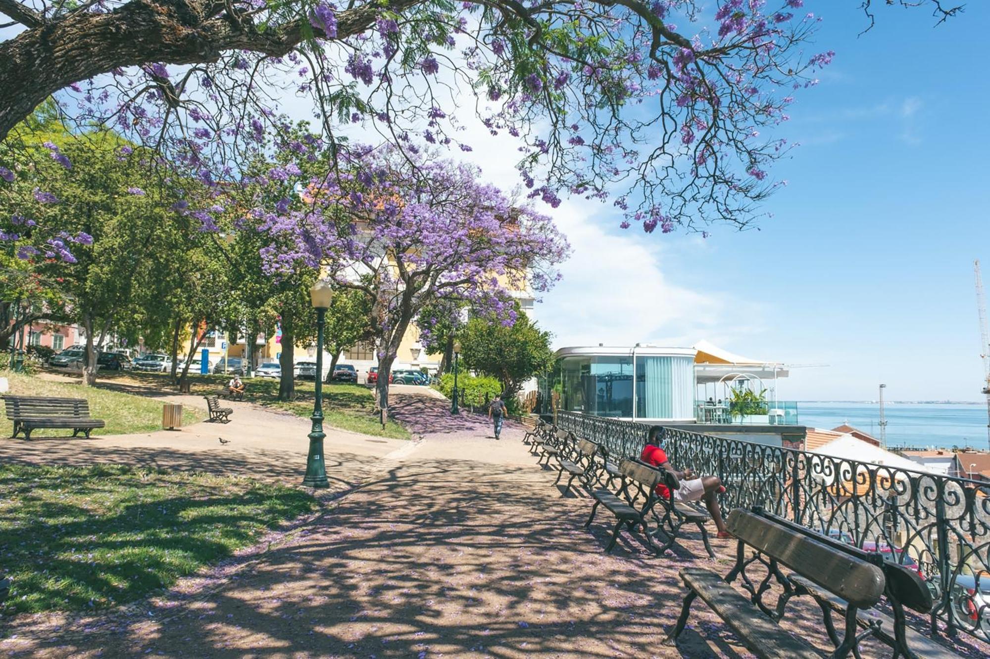 Santos Green Apartment Lisboa Exteriér fotografie